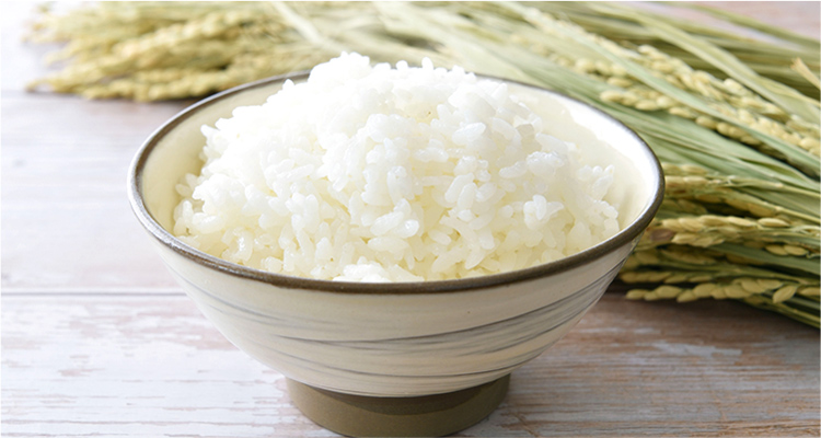 炊き立てご飯