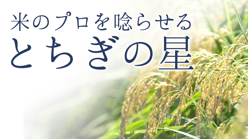 米のプロを唸らせるとちぎの星