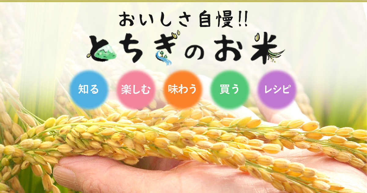 とちぎのお米を買う | おいしさ自慢！！とちぎのお米