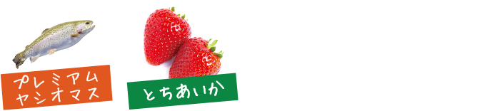 プレミアムヤシオマス、とちあいか