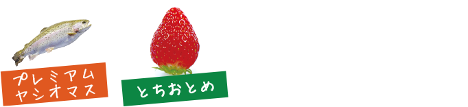 プレミアムヤシオマス、とちおとめ